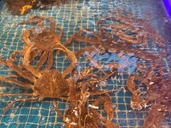 -宋园·金宴浙鲜馆(静安店)