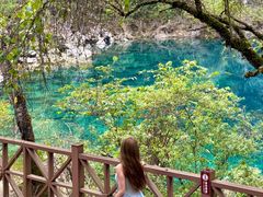-叠溪松坪沟景区