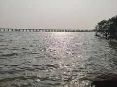 -宝安西湾红树林湿地公园