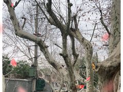 -古董花园(思南路42弄小区店)
