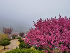-石岛赤山风景区