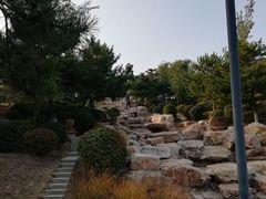 -莫子山公园