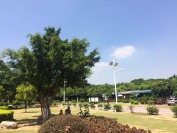 公园景色-云湖游乐园