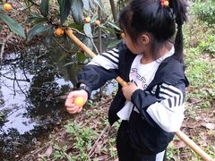 -塘栖枇杷特色园区