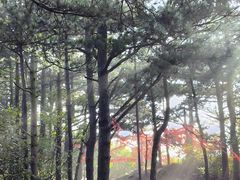 -罗田薄刀峰风景区
