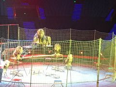 -珠海横琴长隆《卡卡虎奇遇记》