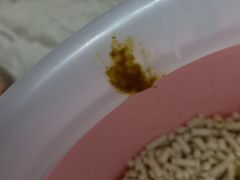 -德元·美联众合24小时动物医院(总院)