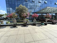 -南通洲际绿博园