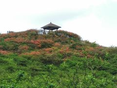-大围山国家森林公园