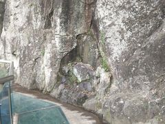 -九鲤溪瀑景区