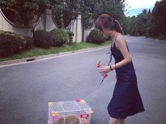 -宠物兔专门店(天丰利市场店)