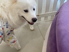 -怪兽屋·羊驼·猫咖·狗咖(俊华广场店)