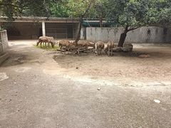 -成都动物园
