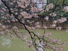 -红星桥(地铁站)