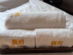 -巍阁高端月子会所