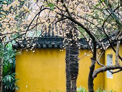 -北寺塔