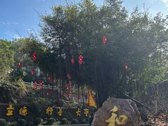 -莆田湄洲妈祖祖庙