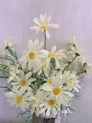 -成都苗方清颜专业祛痘