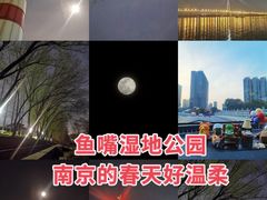 -鱼嘴湿地公园