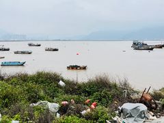 -北岐滩涂
