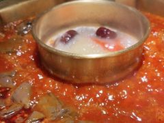 -蜀九香火锅(彩虹店)