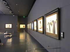 -罗红摄影艺术馆