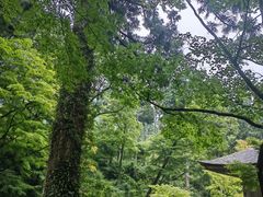 -三千院