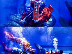 -海合安武汉极地海洋公园