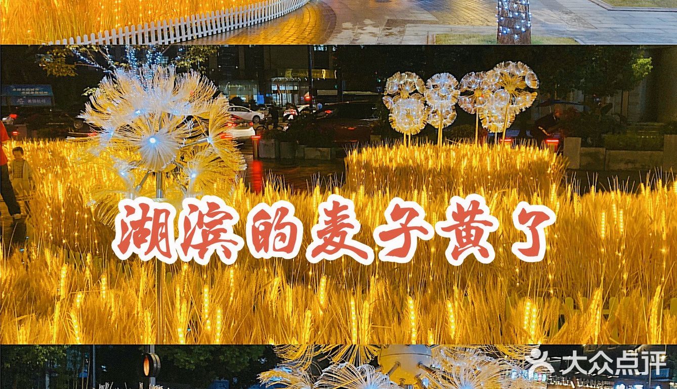 湖滨的麦子黄了!