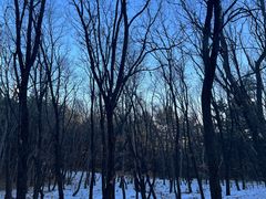 -帽儿山国家森林公园