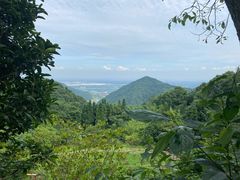 -九尺赵老四鲜鹅肠火锅