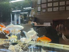 -CBCx巨鹿搏击 CHAMPIONROAD FIGHT CLUB(香蜜湖店)