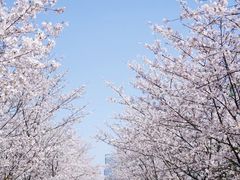 -新天地活力PARK