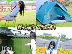 -栖露营camping·天幕烧烤·团建拓展·采摘营地