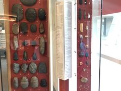 -墨尔本博物馆(Melbourne Museum)