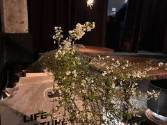 -毛辣果·酸(OHA复兴西路店)