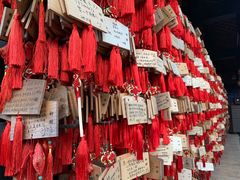 -峨眉山报国寺