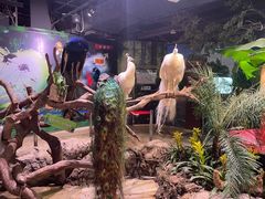 -正佳雨林生态植物园