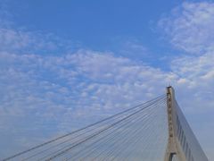 -大渡口区义渡公园