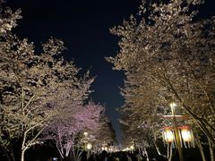 -长田漾湿地公园