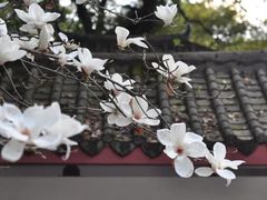 -乌山风景区