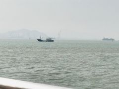 -演武大桥观景平台