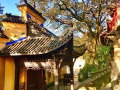 -涂山寺素食餐厅