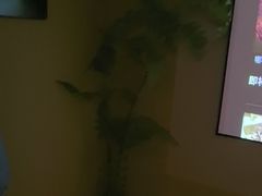 -若水云栖·足疗·按摩·SPA(城阳万达广场店)