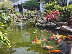 -聚福宝合苑食府(南头镇店)