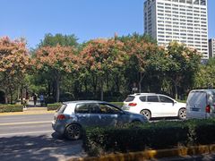 -唐城墙遗址公园