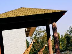 -石家庄市动物园