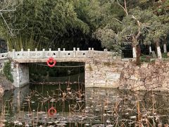 -水绘园