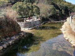 -北仑森林植物园