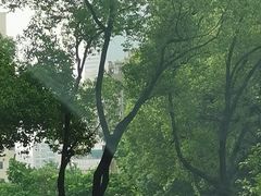 -上海交通大学医学院附属瑞金医院(总院)